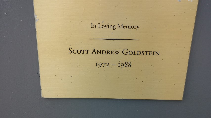 Prunus x yedoensis plantplacesimage20150501_154441.jpg