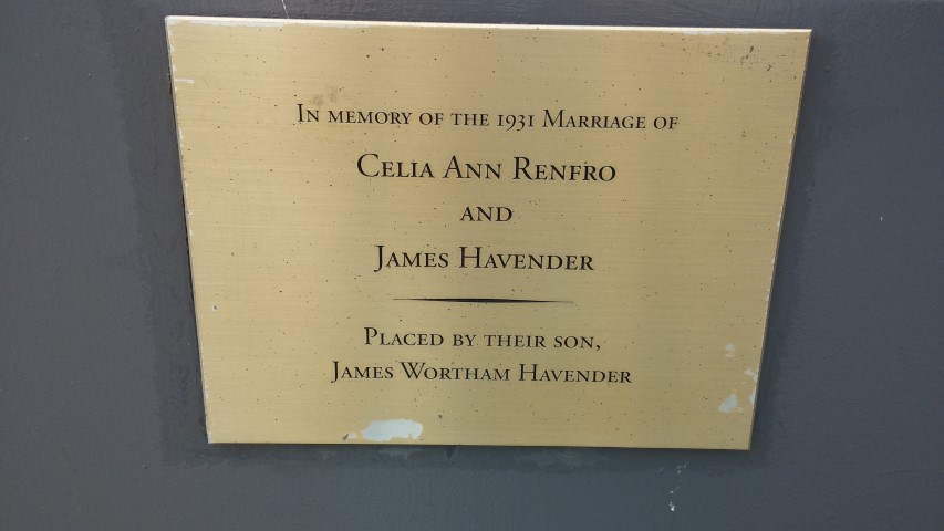 Prunus x yedoensis plantplacesimage20150501_154452.jpg